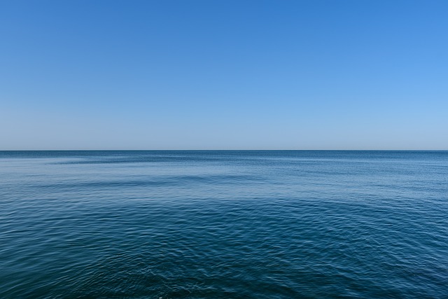 Tajemnice Głębin... Życie na Dnie Oceanu